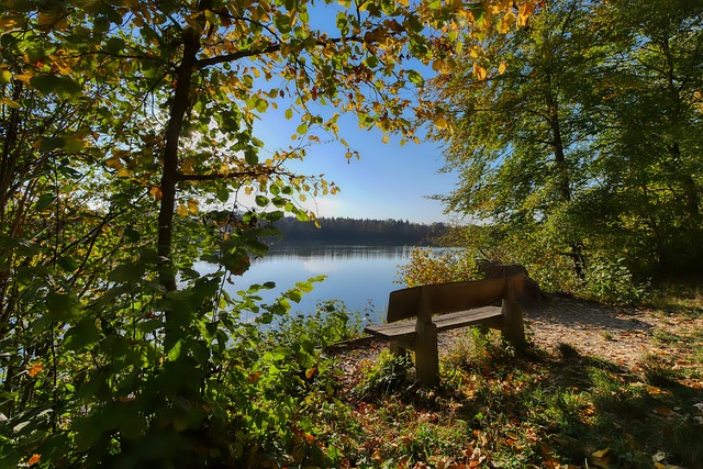 敏捷和控球 敏捷和控球