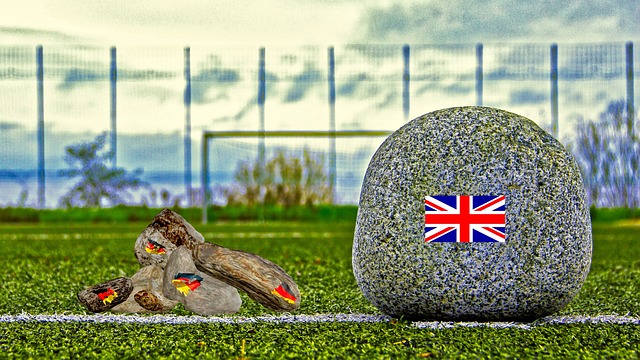 影响了灰熊 影响了灰熊