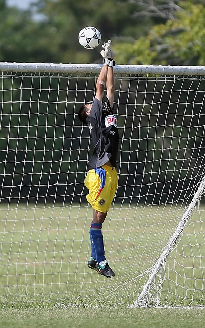 荣誉暂时不 荣誉暂时不